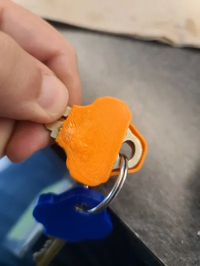 Schlage Primus Key Cover (Commercial Key) - Free 3D Print Model ...