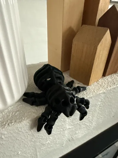 https://makerworld.bblmw.com/makerworld/model/1114119/1111180/ratings/a4df9e00-a38d-11f0-9274-85eed05dbcaa.jpg