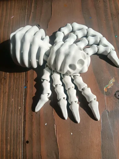 https://makerworld.bblmw.com/makerworld/model/1114119/1111185/ratings/220fb720-5690-11f0-9fde-3f5f611ef372.jpg