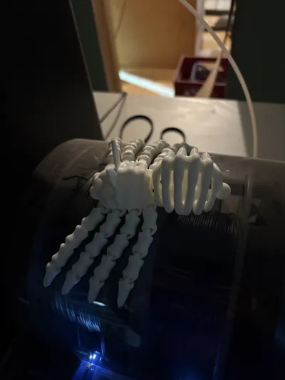 Flexi Skeleton Spider V2 by 3DPrintyi MakerWorld: Download Free 3D Models