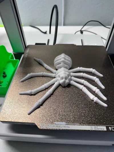 https://makerworld.bblmw.com/makerworld/model/1114119/1111191/ratings/2c347e50-0d5e-11f0-94de-77460e8b5f1e.jpg