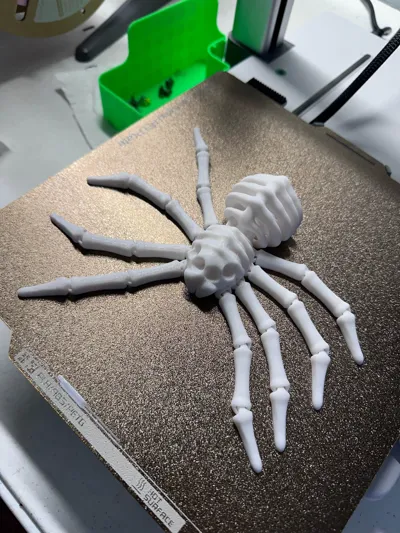 https://makerworld.bblmw.com/makerworld/model/1114119/1111191/ratings/2c367a20-0d5e-11f0-94de-77460e8b5f1e.jpg