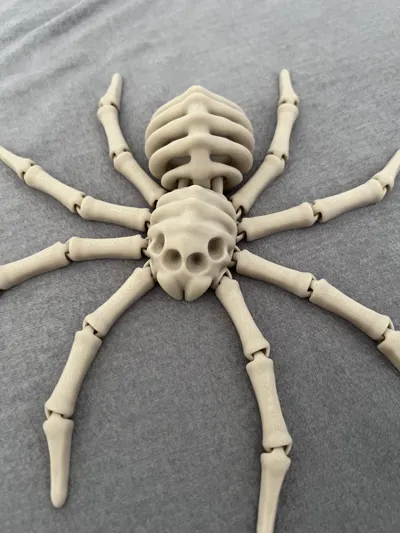 Flexi Skeleton Spider V2 by 3DPrintyi MakerWorld: Download Free 3D Models