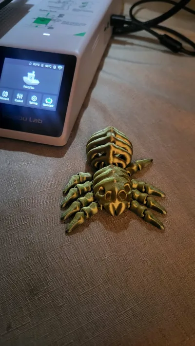 https://makerworld.bblmw.com/makerworld/model/1114119/1227821/ratings/a6e68ea0-80bc-11f0-9bd9-8f68868252a9.jpg