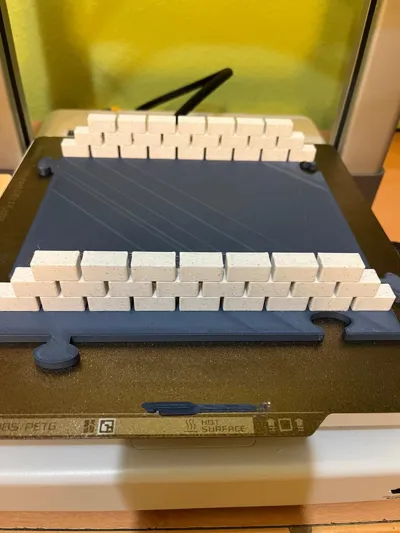 https://makerworld.bblmw.com/makerworld/model/1114900/1112120/ratings/93c96220-ad21-11f0-a0e0-b3934a124742.jpg
