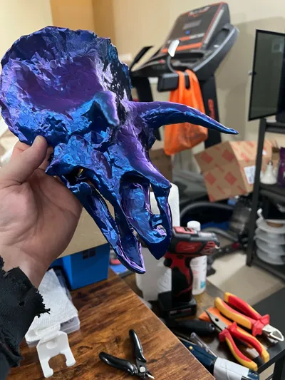 https://makerworld.bblmw.com/makerworld/model/1115361/1112759/ratings/2eee6870-22fa-11f0-8b07-0fb4cb7089d0.jpg