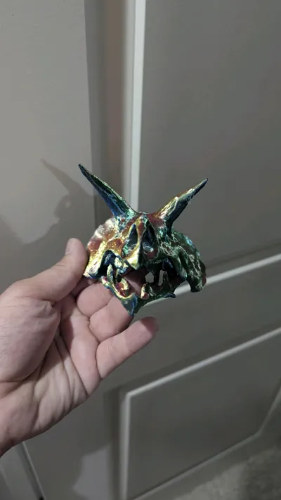 https://makerworld.bblmw.com/makerworld/model/1115361/1545396/ratings/3cbec440-5c66-11f0-8dfb-6dc0a74657a9.jpg