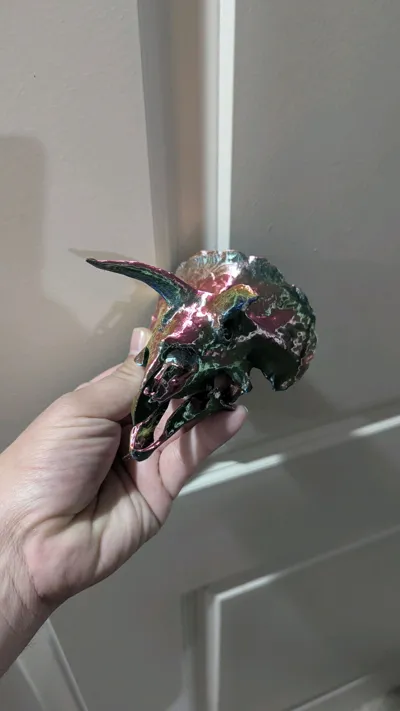 https://makerworld.bblmw.com/makerworld/model/1115361/1545396/ratings/3cc18360-5c66-11f0-8dfb-6dc0a74657a9.jpg