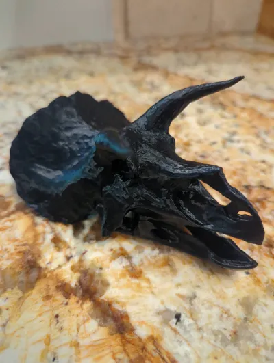 https://makerworld.bblmw.com/makerworld/model/1115361/1545396/ratings/c0e16490-7065-11f0-b1aa-79e0b88fb530.jpg