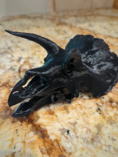 https://makerworld.bblmw.com/makerworld/model/1115361/1545396/ratings/c0e1d9c0-7065-11f0-b1aa-79e0b88fb530.jpg