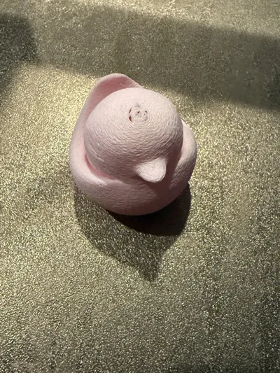 https://makerworld.bblmw.com/makerworld/model/1115874/1113351/ratings/3f8c5b30-074b-11f0-bd17-5d97fcd318d9.jpg
