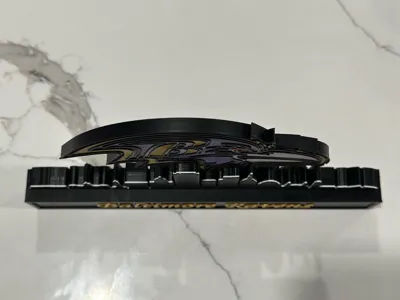 https://makerworld.bblmw.com/makerworld/model/1116480/1114041/ratings/83e99780-1811-11f0-9941-d7d50a3ed113.jpg