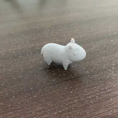 https://makerworld.bblmw.com/makerworld/model/1116884/1114502/ratings/3daa6b00-4a16-11f0-8a29-9bfb32503536.jpg