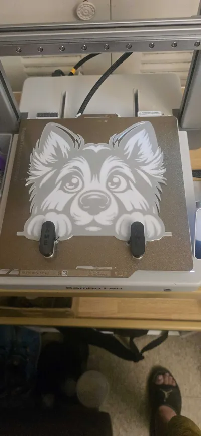 https://makerworld.bblmw.com/makerworld/model/1117367/1115126/ratings/db5cb060-8e09-11f0-801c-db38a5299ed0.jpg