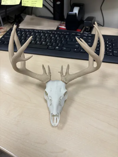 https://makerworld.bblmw.com/makerworld/model/1117705/1115506/ratings/c5c86ad0-02ce-11f0-9ff0-bd2e3f301381.jpg