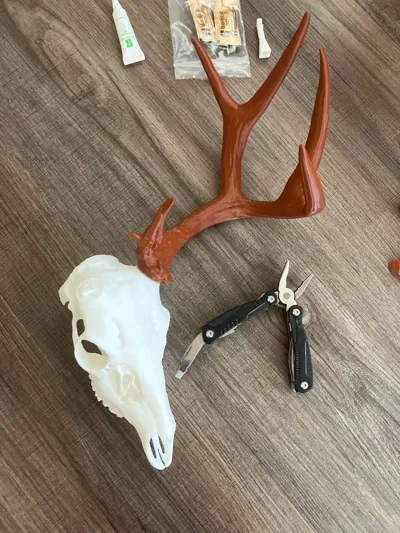 https://makerworld.bblmw.com/makerworld/model/1117705/1257871/ratings/e2b5c8b0-81c5-11f0-ad56-e9a8c3f7c333.jpg