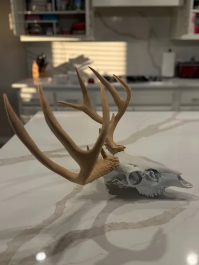 https://makerworld.bblmw.com/makerworld/model/1117705/1257899/ratings/39c7ed50-e1fb-11f0-9632-c7c492475cfe.jpg