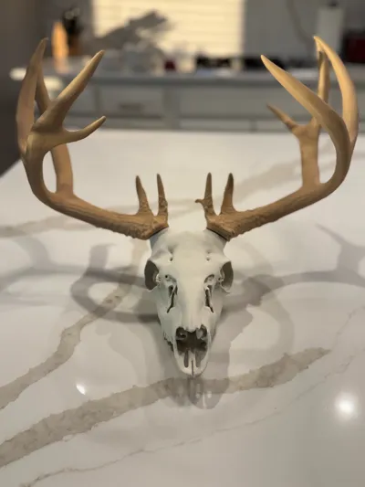 https://makerworld.bblmw.com/makerworld/model/1117705/1257899/ratings/39cc0c00-e1fb-11f0-9632-c7c492475cfe.jpg