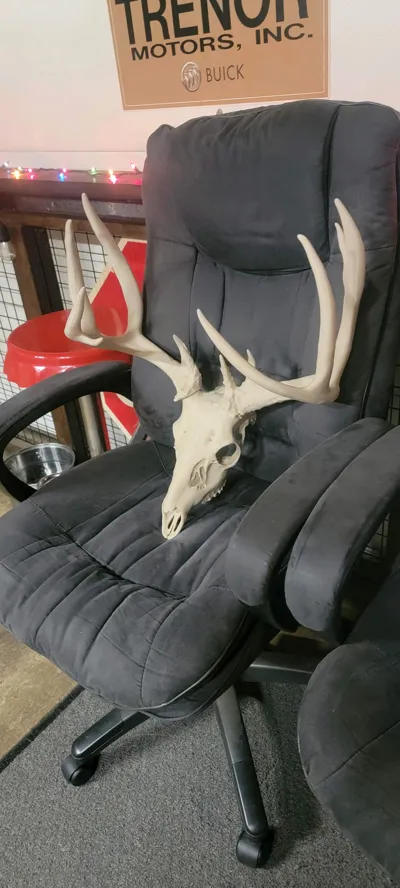 https://makerworld.bblmw.com/makerworld/model/1117705/1257899/ratings/91129f60-c824-11f0-a5ba-d9eba0d1a087.jpg