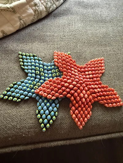 https://makerworld.bblmw.com/makerworld/model/1119220/1210885/ratings/ae13c380-521f-11f0-85dd-9582d37216f3.jpg