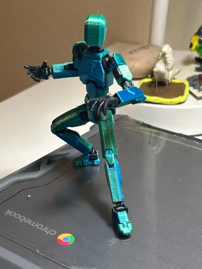 https://makerworld.bblmw.com/makerworld/model/1122510/1418795/ratings/ab28ca30-722c-11f0-b045-1be0d117061e.jpg