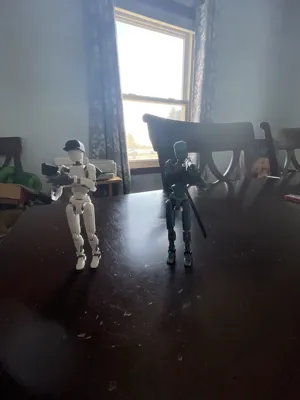 https://makerworld.bblmw.com/makerworld/model/1122543/1121287/ratings/12c781c0-fdfe-11ef-9646-43142dd75986.jpg
