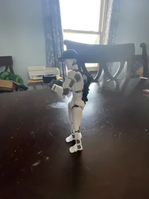 https://makerworld.bblmw.com/makerworld/model/1122543/1121287/ratings/12d05b60-fdfe-11ef-9646-43142dd75986.jpg