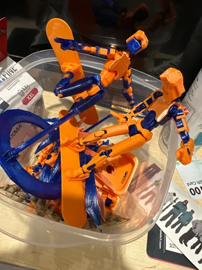 https://makerworld.bblmw.com/makerworld/model/1122618/1121371/ratings/9f80c3b0-66c2-11f0-8b45-b57483924ff9.jpg