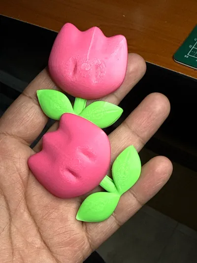 https://makerworld.bblmw.com/makerworld/model/1123245/1122108/ratings/b746fd40-892a-11f0-9b10-db2405d56eb0.jpg