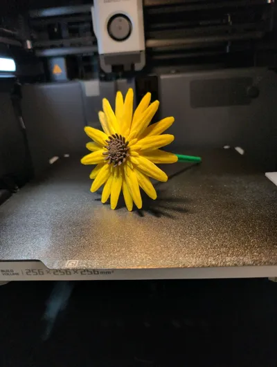 https://makerworld.bblmw.com/makerworld/model/1123773/1122720/ratings/34db4a50-e43d-11f0-bad3-495866736a1b.jpg