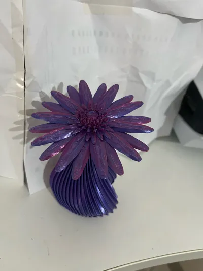 https://makerworld.bblmw.com/makerworld/model/1123773/1122720/ratings/ebd499b0-31d1-11f0-a908-efeaf53a5eb2.jpg