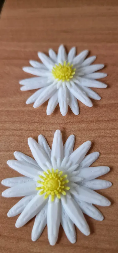 https://makerworld.bblmw.com/makerworld/model/1123773/1130737/ratings/997de740-8828-11f0-95eb-1739c8035392.jpg