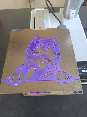 https://makerworld.bblmw.com/makerworld/model/1123991/1122982/ratings/5631bcc0-0888-11f0-bcf6-65623b7f0c56.jpg