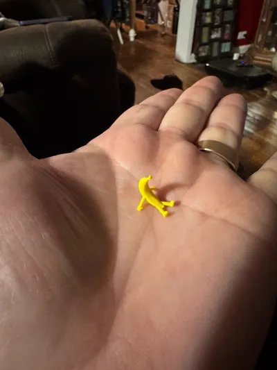 https://makerworld.bblmw.com/makerworld/model/1124459/1123528/ratings/21c60960-cff1-11f0-b565-2b552b7d1de6.jpg