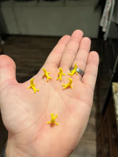 https://makerworld.bblmw.com/makerworld/model/1124459/1123528/ratings/ee1cd7d0-8269-11f0-8576-cfdf1aa2cf5d.jpg