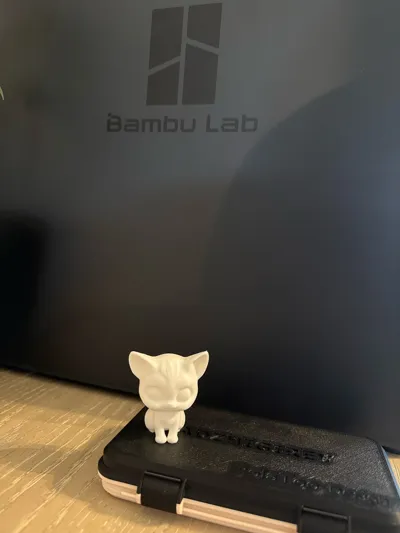https://makerworld.bblmw.com/makerworld/model/1124998/1126454/ratings/744d5120-64f3-11f0-bd08-7fe361ee3877.jpg