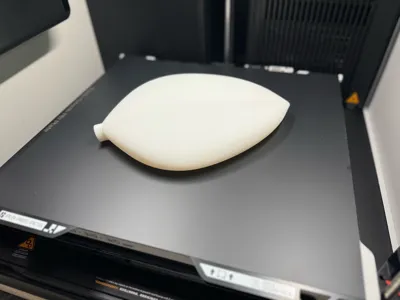 https://makerworld.bblmw.com/makerworld/model/1125099/1124307/ratings/037de530-5847-11f0-9b36-9bf279d11e09.jpg