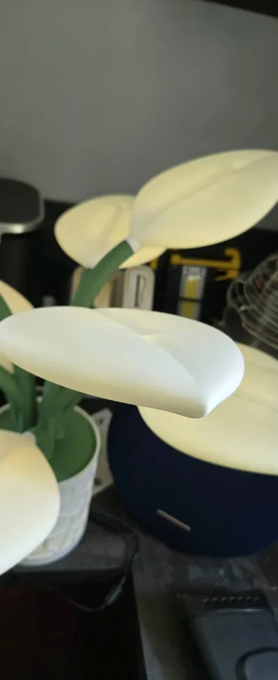 https://makerworld.bblmw.com/makerworld/model/1125099/1124307/ratings/1d0d5e80-4795-11f0-a8a0-99745c9c5d2a.jpg