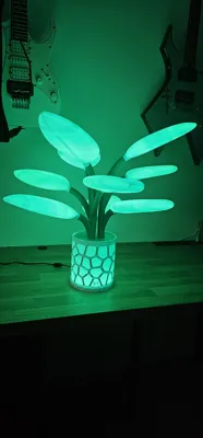 https://makerworld.bblmw.com/makerworld/model/1125099/1124307/ratings/312c4f00-0444-11f0-b1de-95c70e029a76.jpg