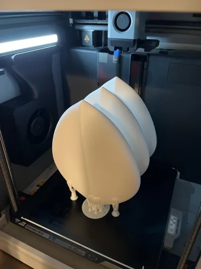 https://makerworld.bblmw.com/makerworld/model/1125099/1124307/ratings/9a7744f0-bdea-11f0-bb73-4d9865b3964e.jpg