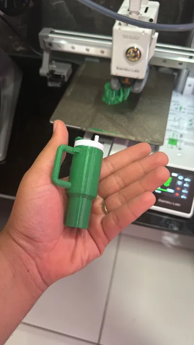 https://makerworld.bblmw.com/makerworld/model/1125332/1124560/ratings/ec2f9a70-5e51-11f0-b198-7ba7ff28a410.jpg