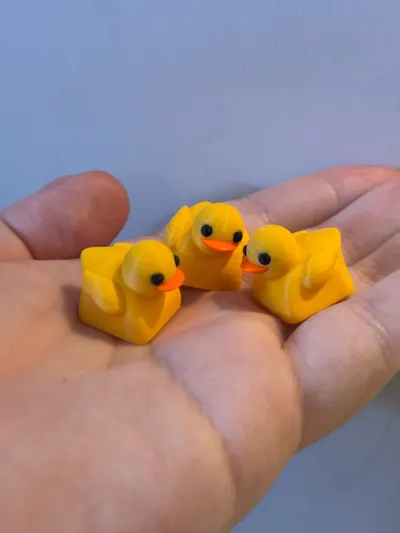 https://makerworld.bblmw.com/makerworld/model/112578/120559/ratings/43e72210-ad08-11f0-8dca-fd7911e48261.jpg