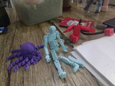 https://makerworld.bblmw.com/makerworld/model/1125840/1546766/ratings/ebaf0610-e9f9-11f0-9d84-ed14490aad4d.jpg