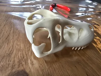 https://makerworld.bblmw.com/makerworld/model/1125856/1125159/ratings/085c8ff0-7158-11f0-bfc3-eda53a009482.jpg