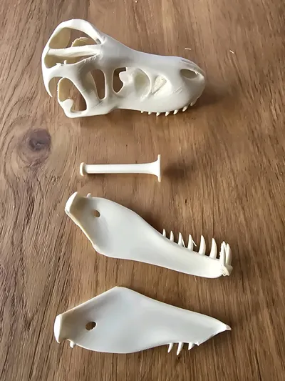 https://makerworld.bblmw.com/makerworld/model/1125856/1125159/ratings/08698840-7158-11f0-bfc3-eda53a009482.jpg