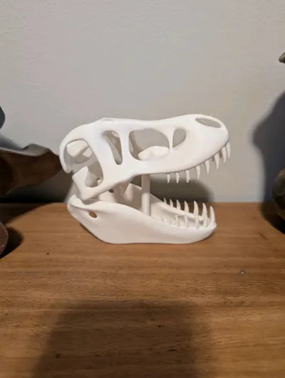 https://makerworld.bblmw.com/makerworld/model/1125856/1125159/ratings/e59b74e0-433a-11f0-bd3c-313c514e1d3e.jpg