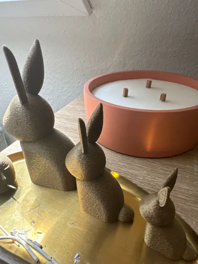 https://makerworld.bblmw.com/makerworld/model/1126509/1125956/ratings/01472e60-3250-11f0-81df-a38275922c8d.jpg