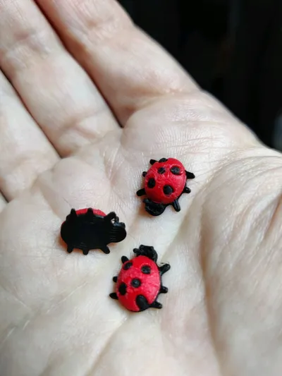 https://makerworld.bblmw.com/makerworld/model/1127272/1146891/ratings/e8110030-e1d4-11f0-b7db-777232e0f36d.jpg