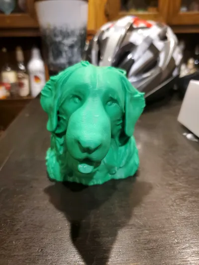 https://makerworld.bblmw.com/makerworld/model/1128974/1128846/ratings/002c3af0-5e62-11f0-ac1c-1fa60c686ee2.jpg