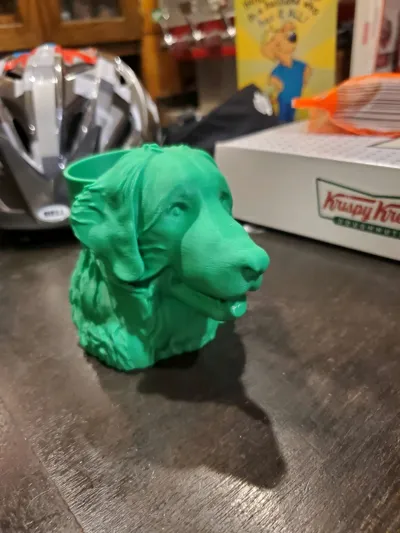 https://makerworld.bblmw.com/makerworld/model/1128974/1128846/ratings/002fe470-5e62-11f0-ac1c-1fa60c686ee2.jpg